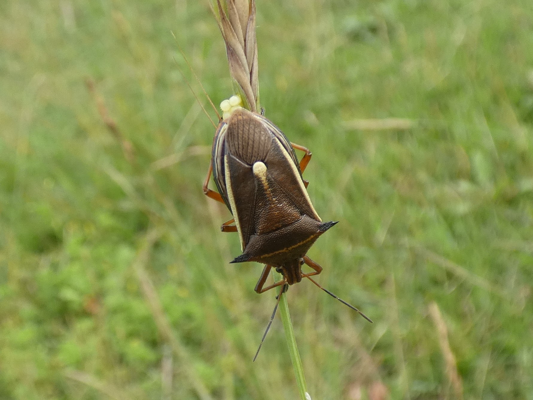 photo_2